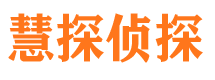 江岸市侦探调查公司